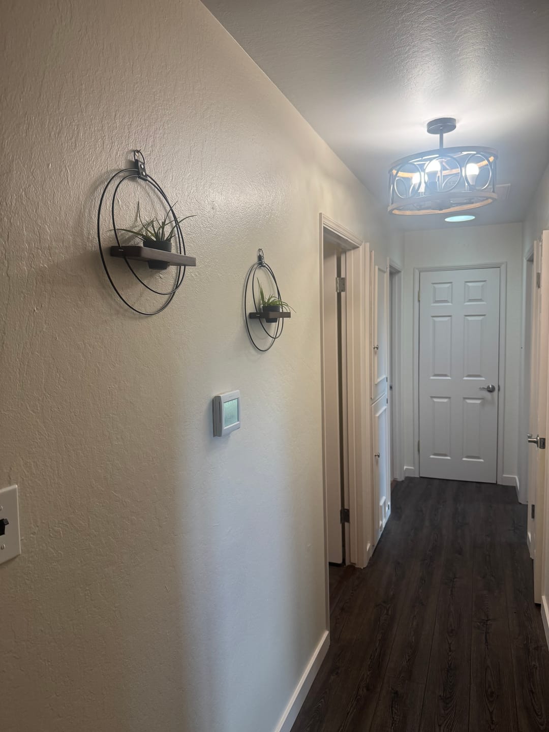 Customer photo review of Air Plant Shelf + Pot Duo