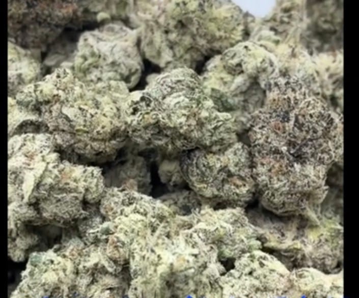 Customer photo review of White Widow Indoor - Bulk - Hybrid