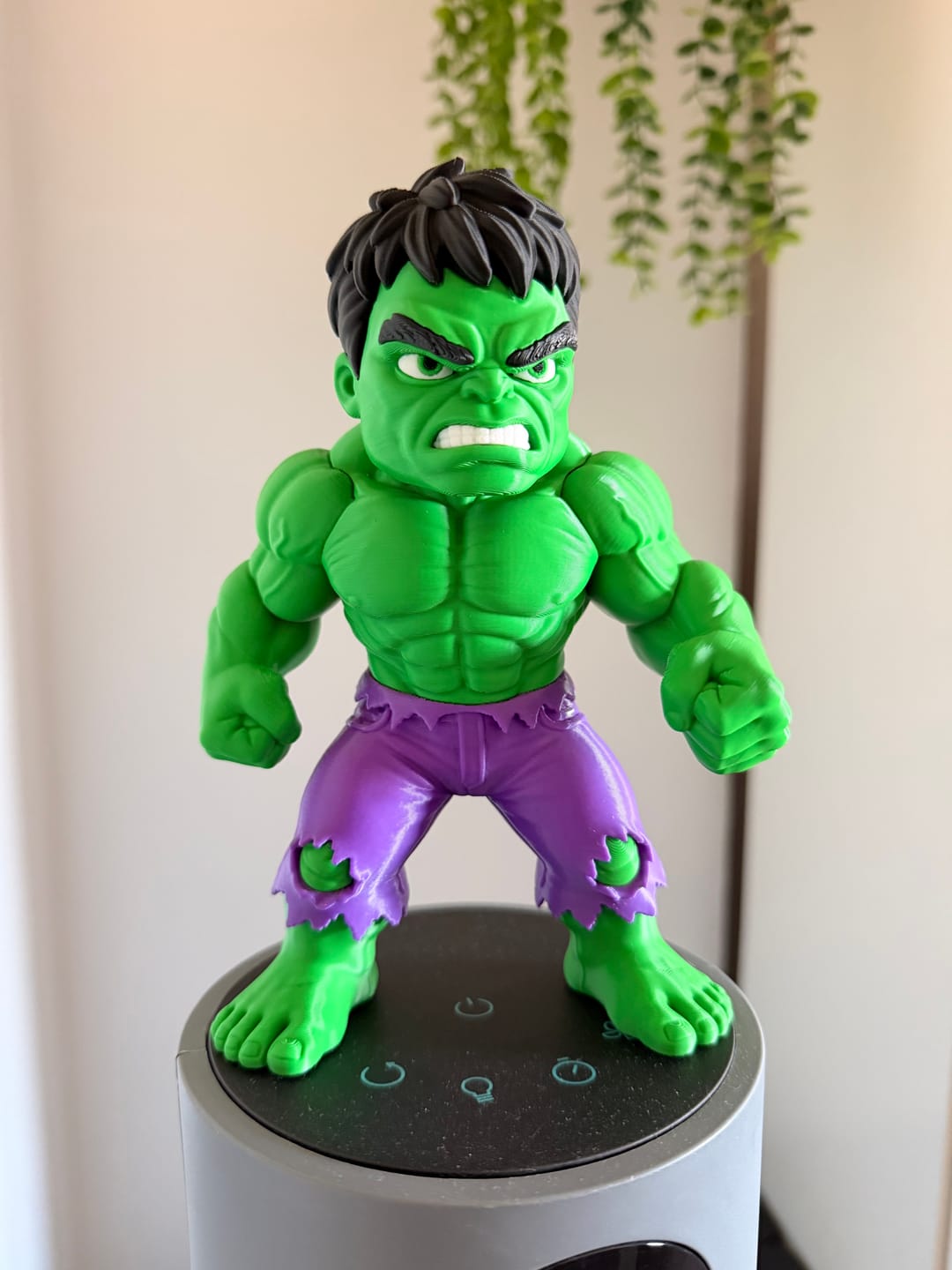 Customer photo review of Anycubic Kobra X