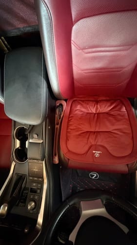 Customer photo review of Devano - Individuelles Autositzkissen