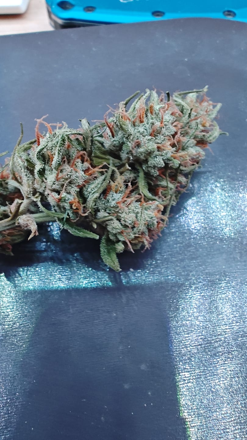 Customer photo review of Bubba Candy - 28 Grams - Indica