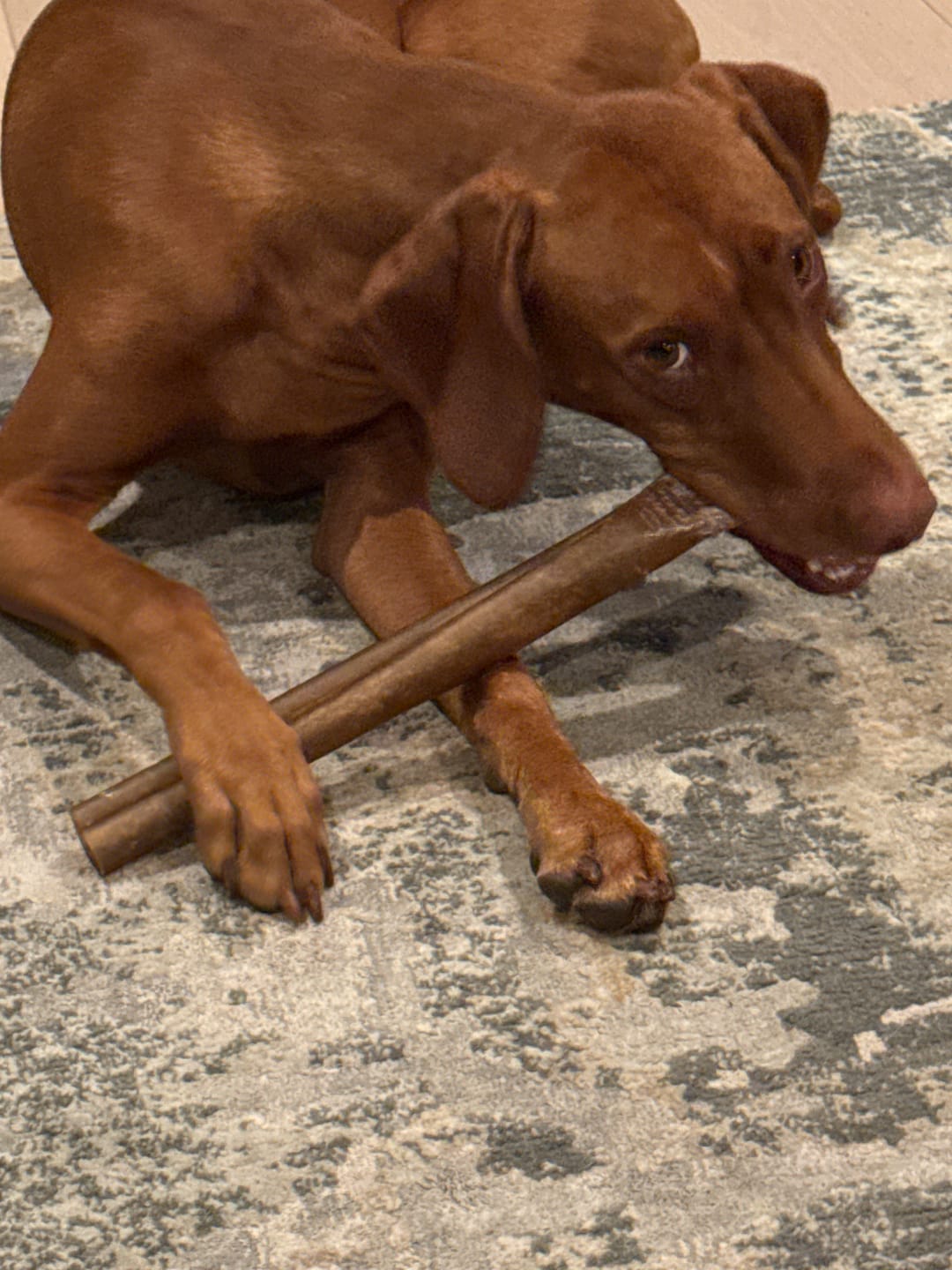 Customer photo review of Super Bull Sticks