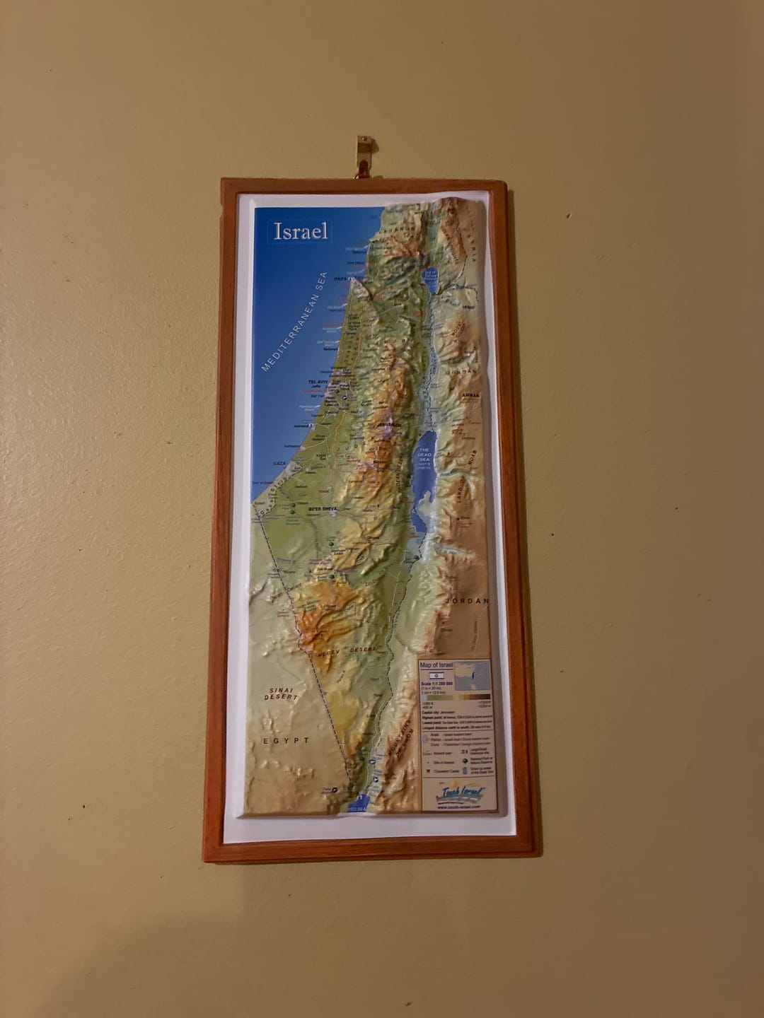Customer photo review of 3D Map of Israel