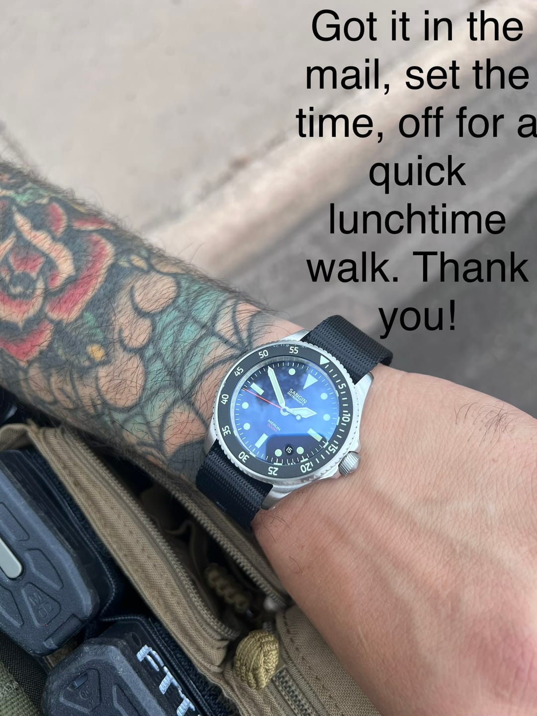Customer photo review of Merlin (Private Release)