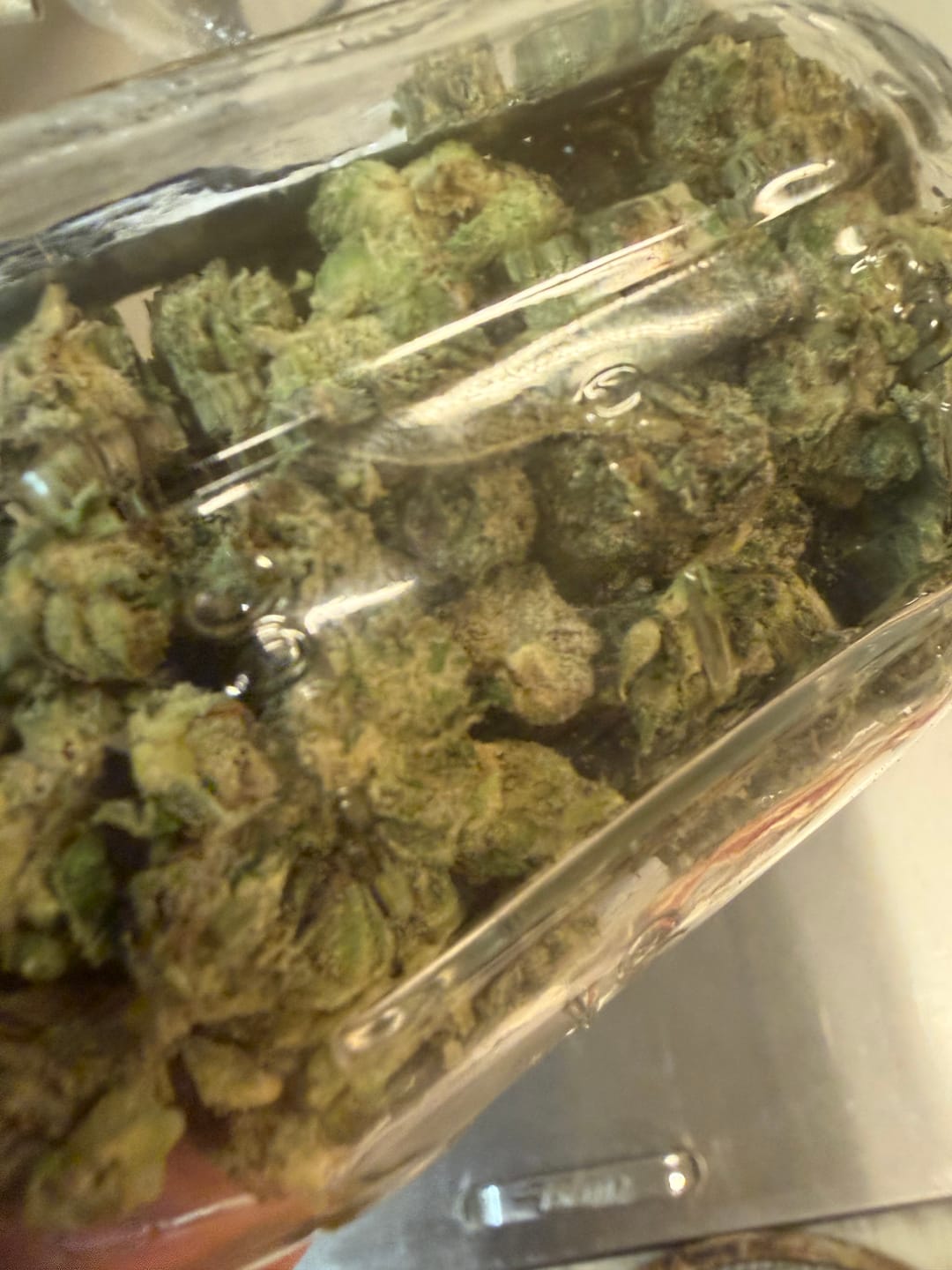 Customer photo review of Blueberry THCA Flower (Exotic)