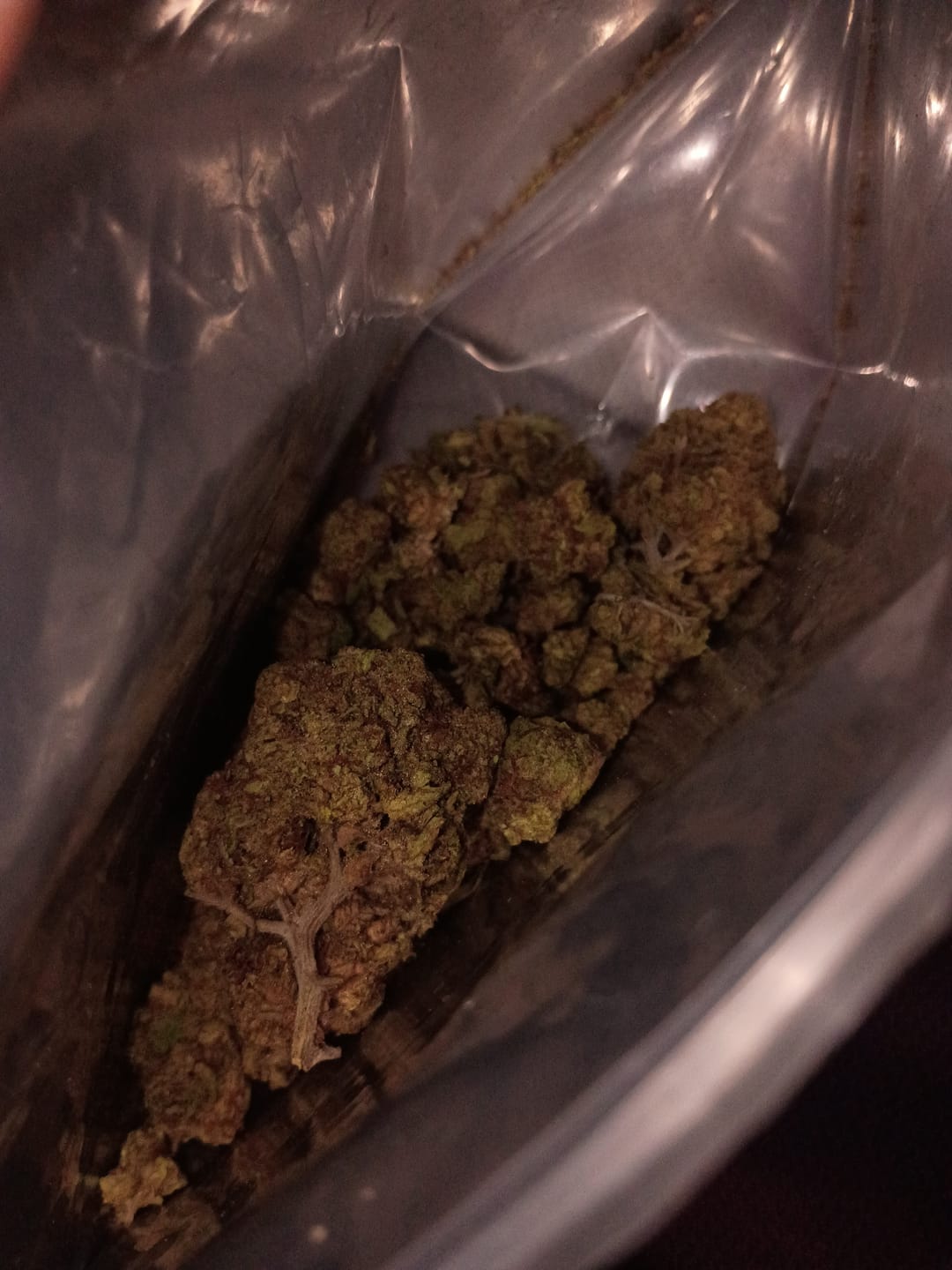 Customer photo review of Snake Venom THCA Flower