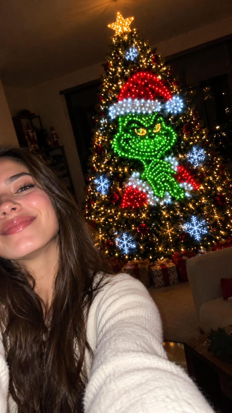 Customer photo review of Luces LED Navideñas Inteligentes