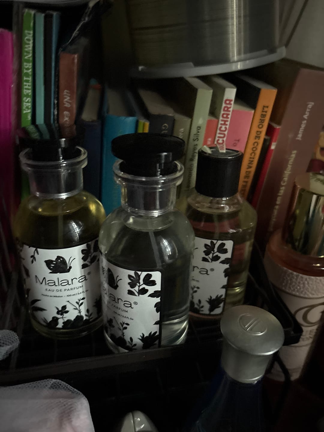 Customer photo review of Santal Woods — Inspirado en Santal 33 de Le Labo