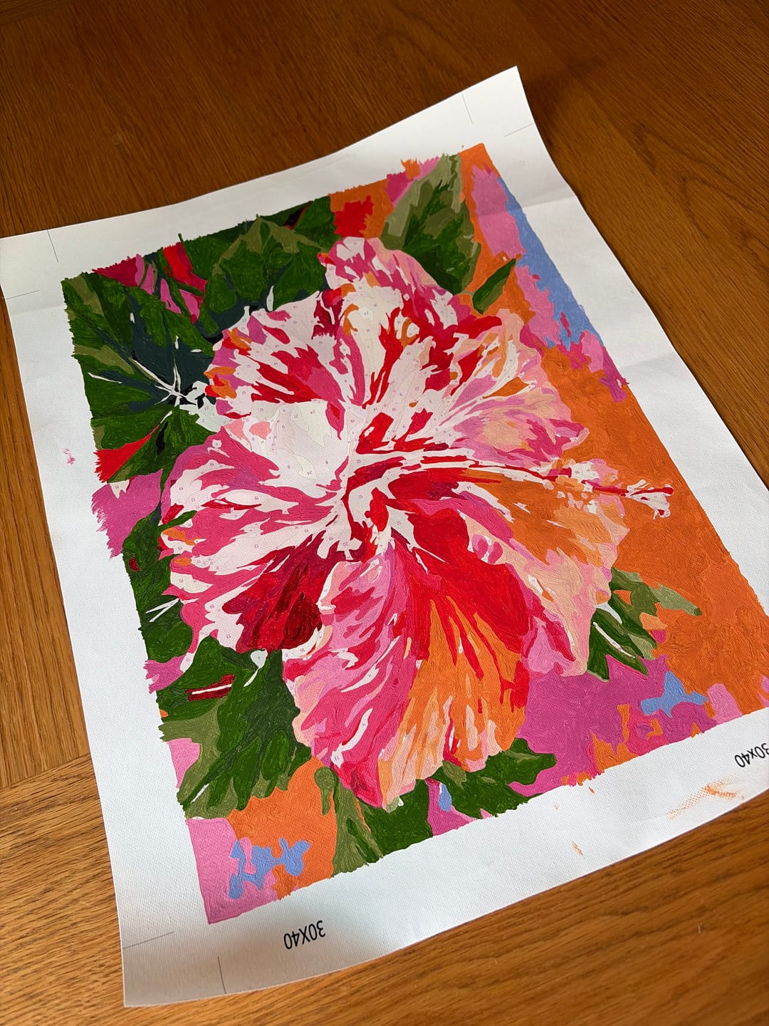 Customer photo review of Surprise Painting | Paint by Numbers