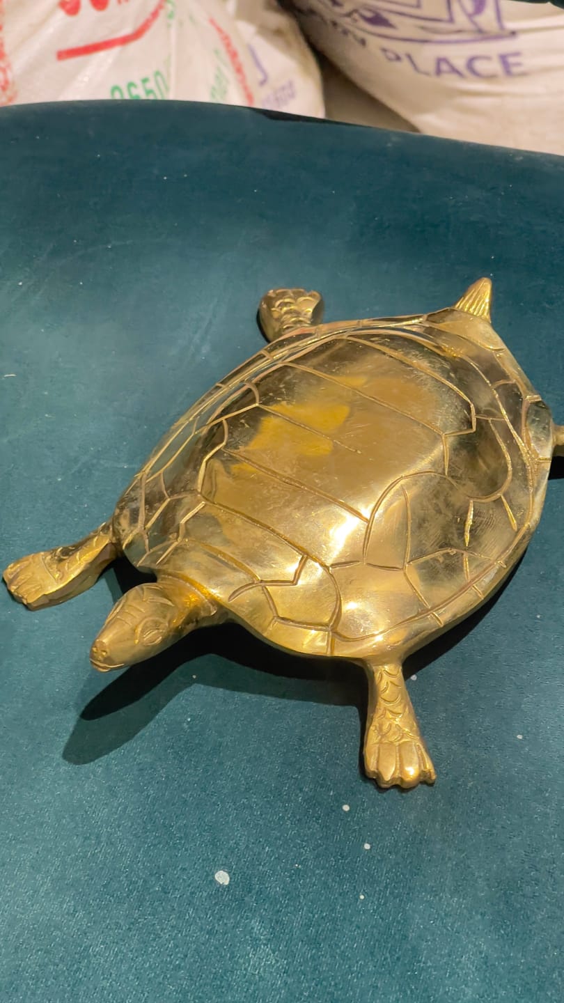 Customer photo review of Pure Brass Tortoise Idol Vastu Remedy for Stability, Protection and Positive Energy | 22 x 12 cm | 1.05kg