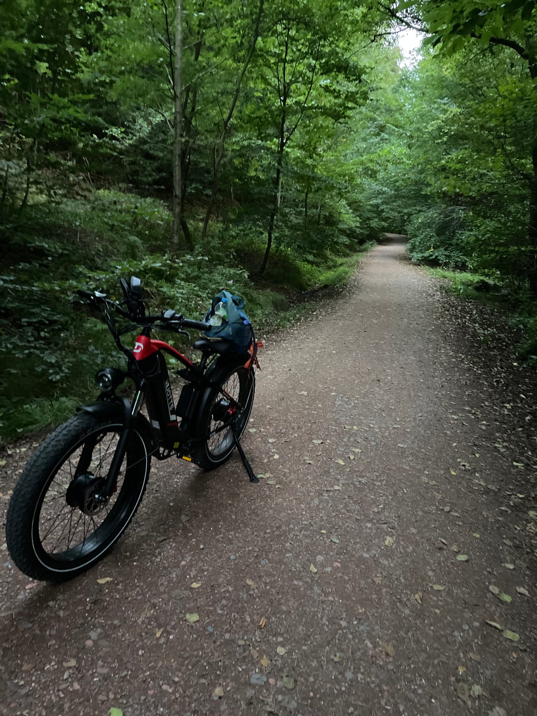 Customer photo review of DUOTTS F26 Electric Bike