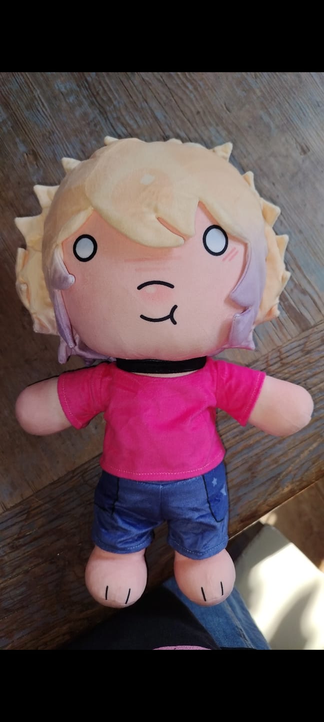 Customer photo review of Original Character (OC) Design Plush