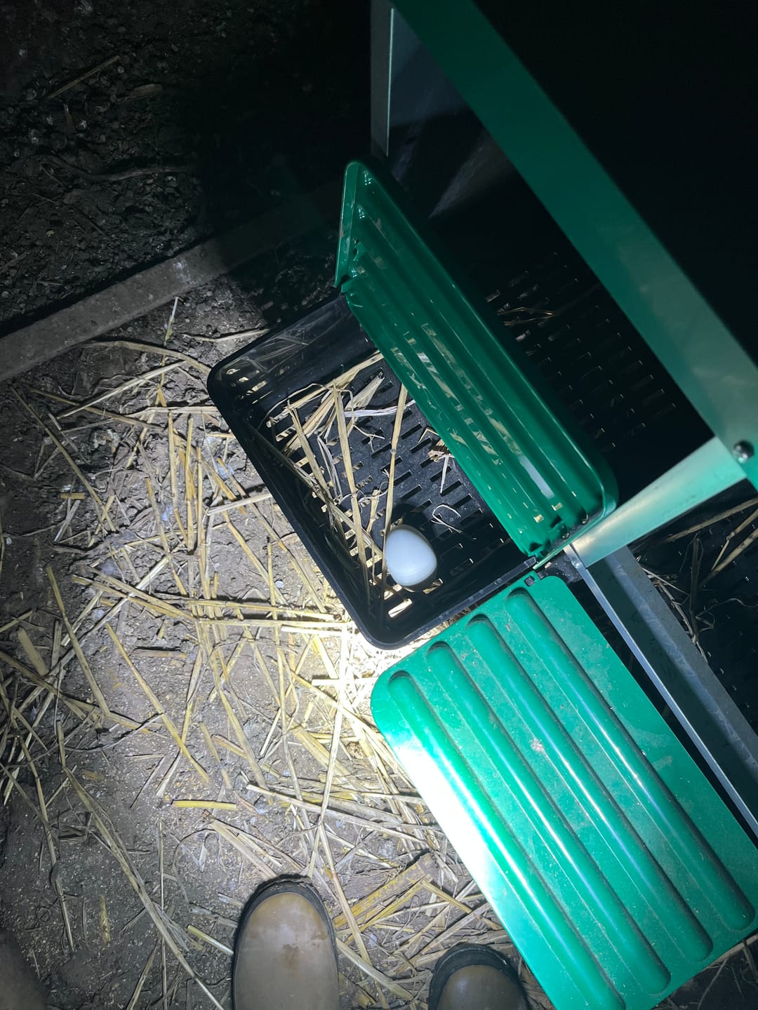 Customer photo review of Pets Gear Metal Chicken Laying Nest Box Roll Away Green