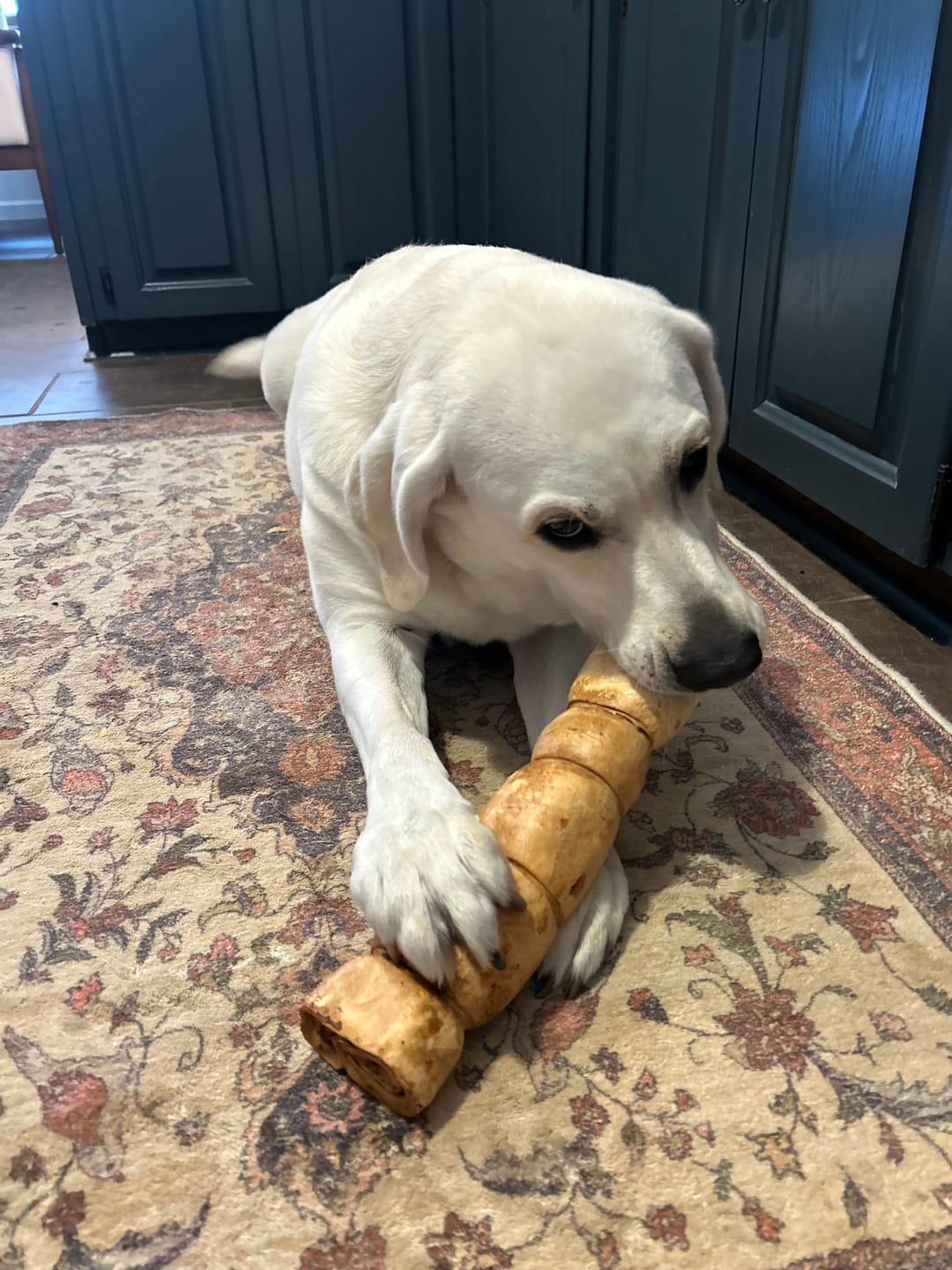 Customer photo review of 10-12 Inch Peanut Butter Cheek Roll