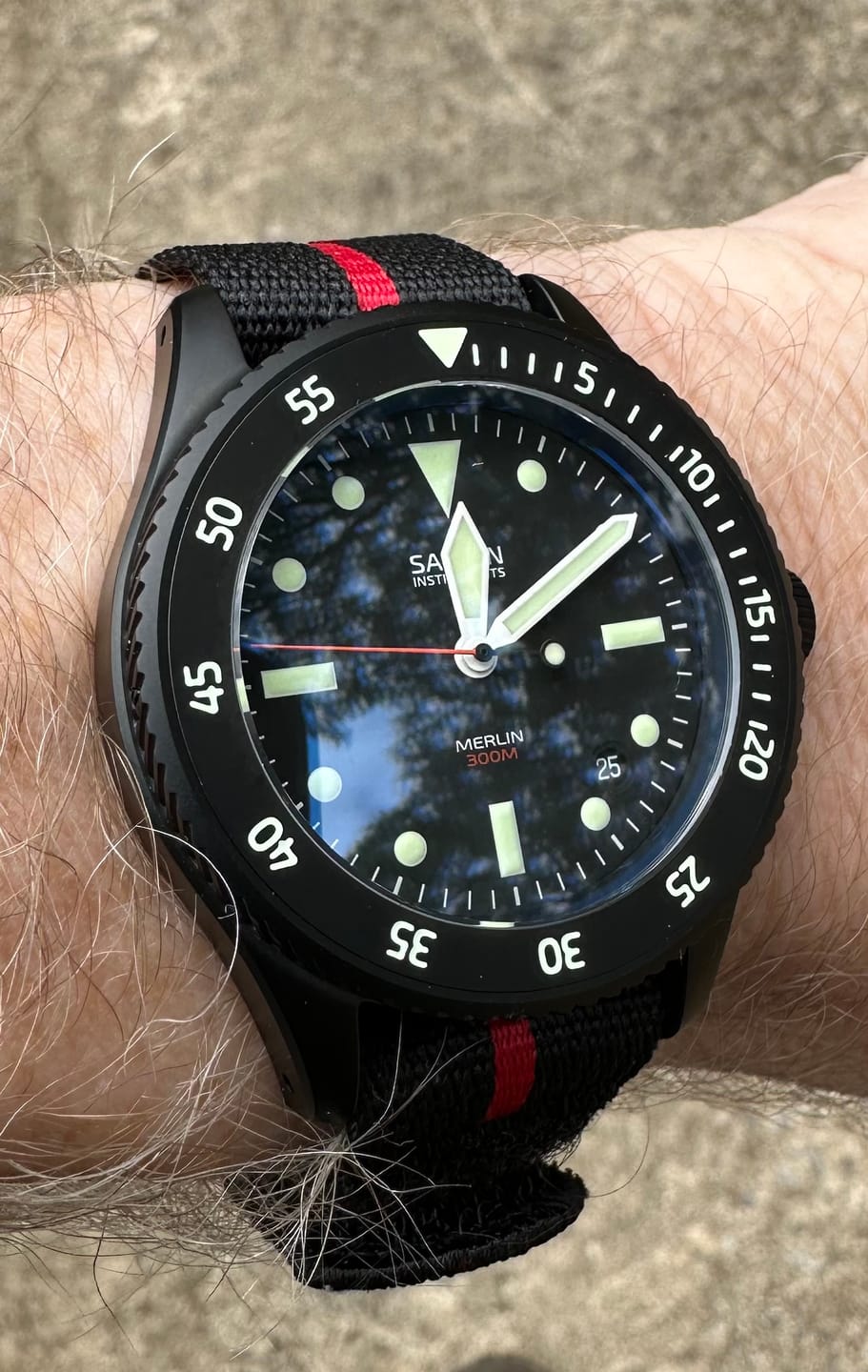 Customer photo review of Merlin (Private Release)