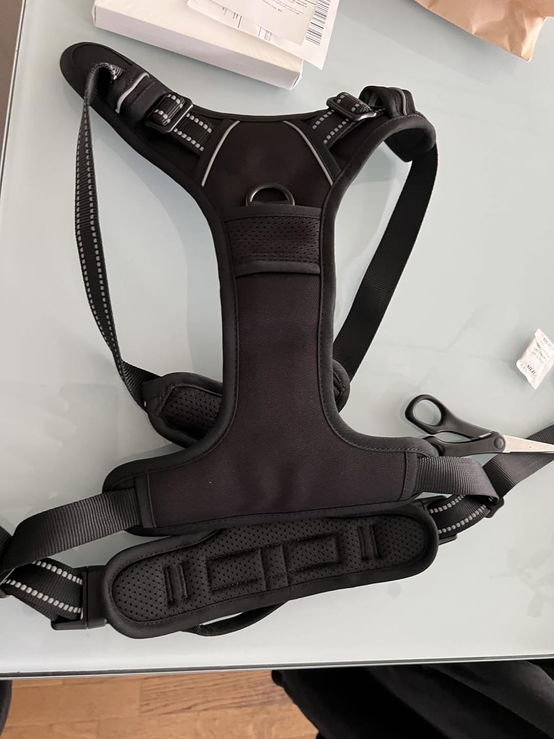Customer photo review of Calm & Paw GiroSuave™