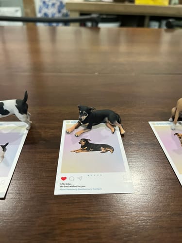 Customer's DoDoWish personalized 3D dog figurine displayed on a printed card on a wooden table.