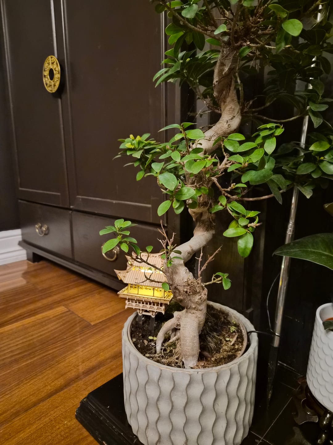Customer photo review of Temple of Gratitude