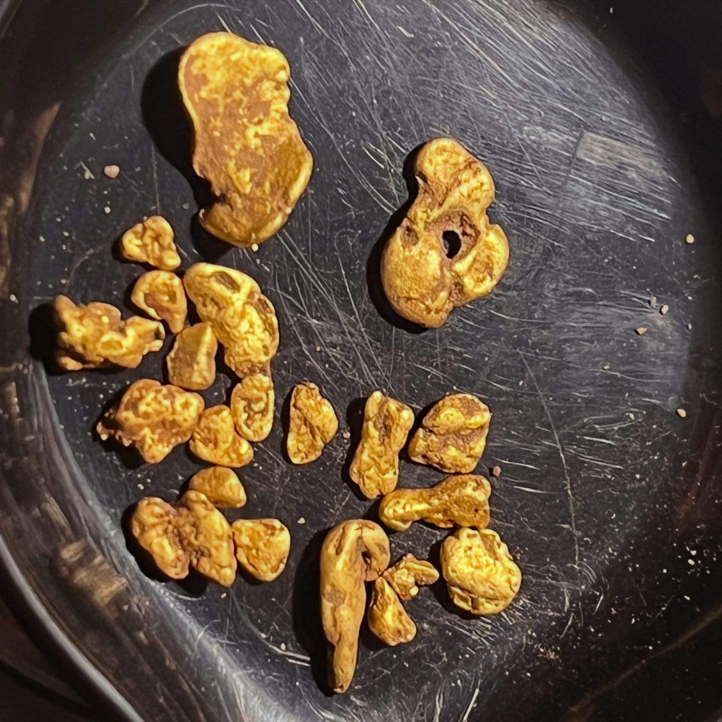 Customer photo review of Gold Monster 2000 - BACKORDER
