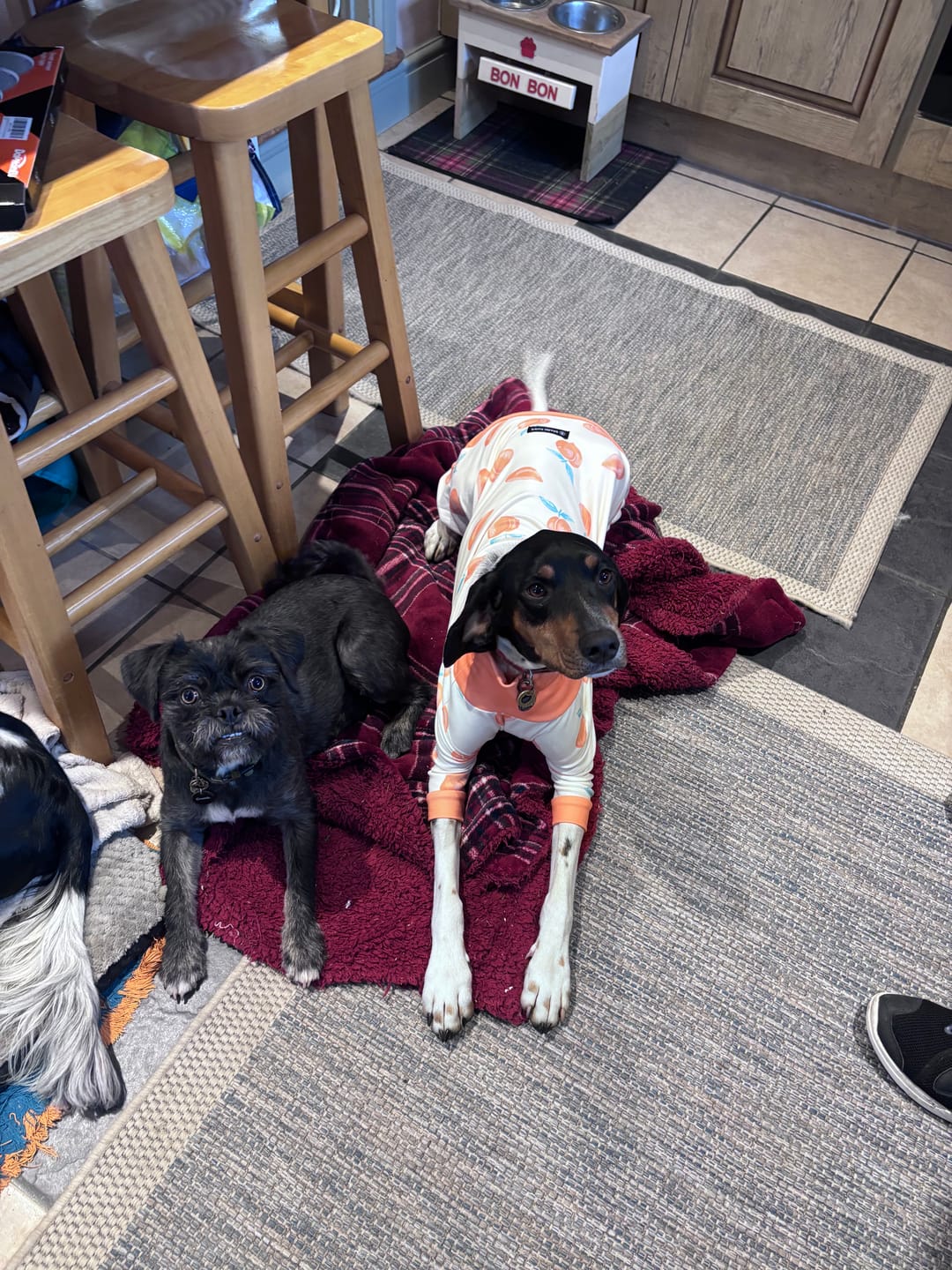 Customer photo review of Dog Pajama - Peaches
