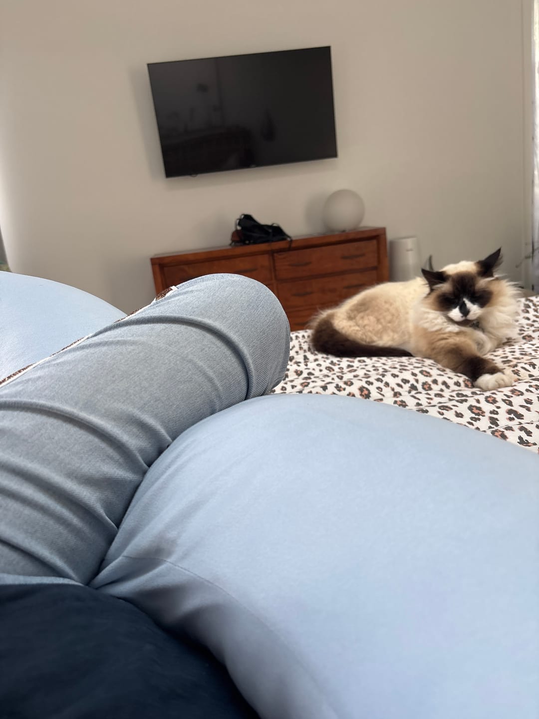 Customer photo review of Snuggi Body Align Pillow