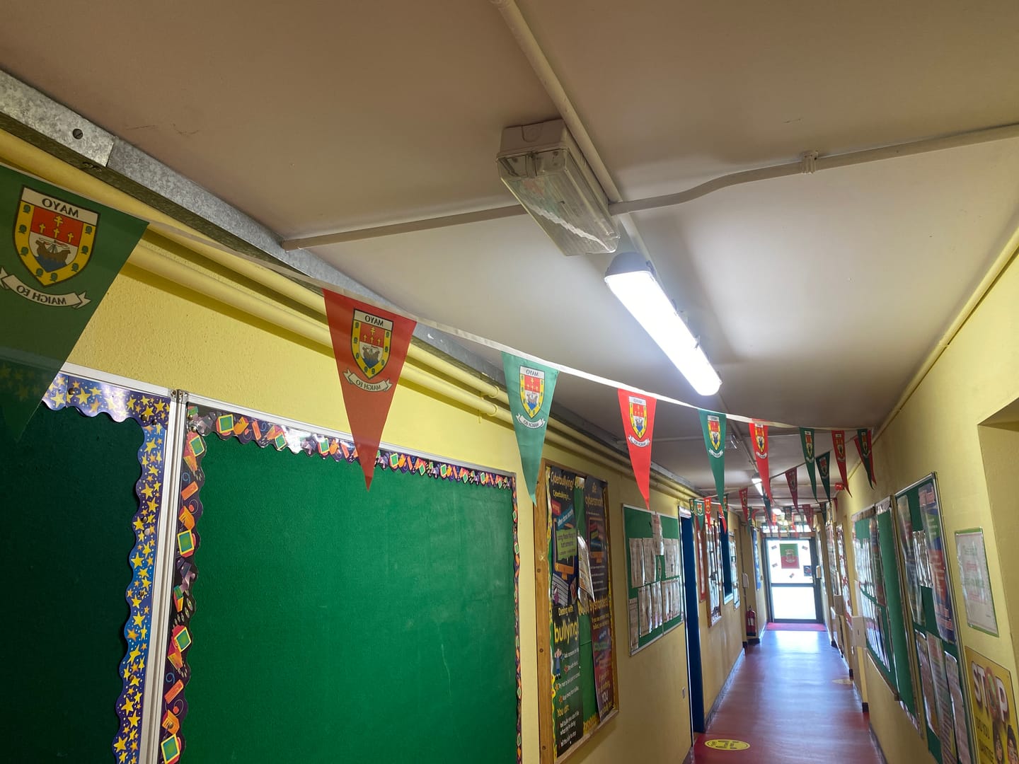 Customer photo review of Mayo County Crest Bunting