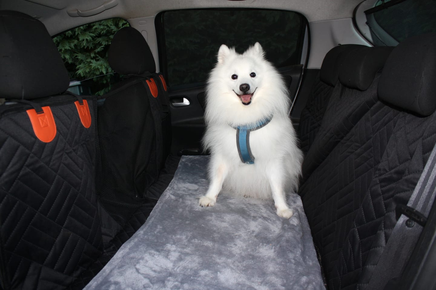 Customer photo review of Housse de protection voiture pour chien avec base rigide