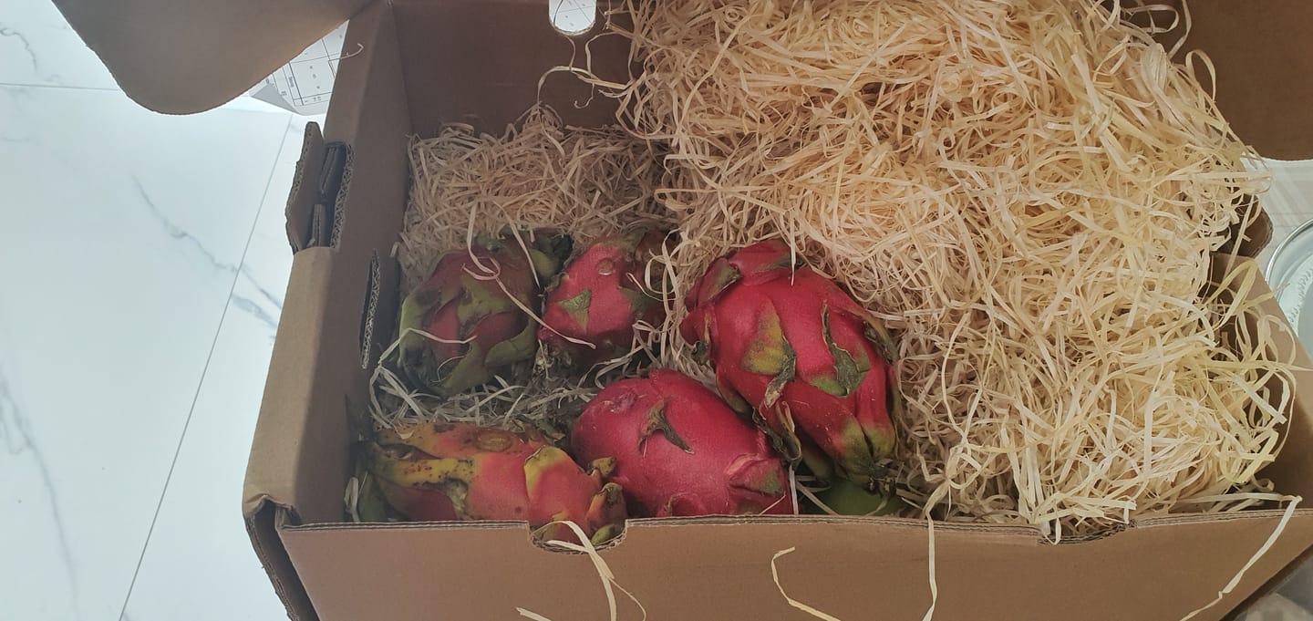 Customer photo review of Drachenfrucht rot Bio von Julian Aktionspreis %