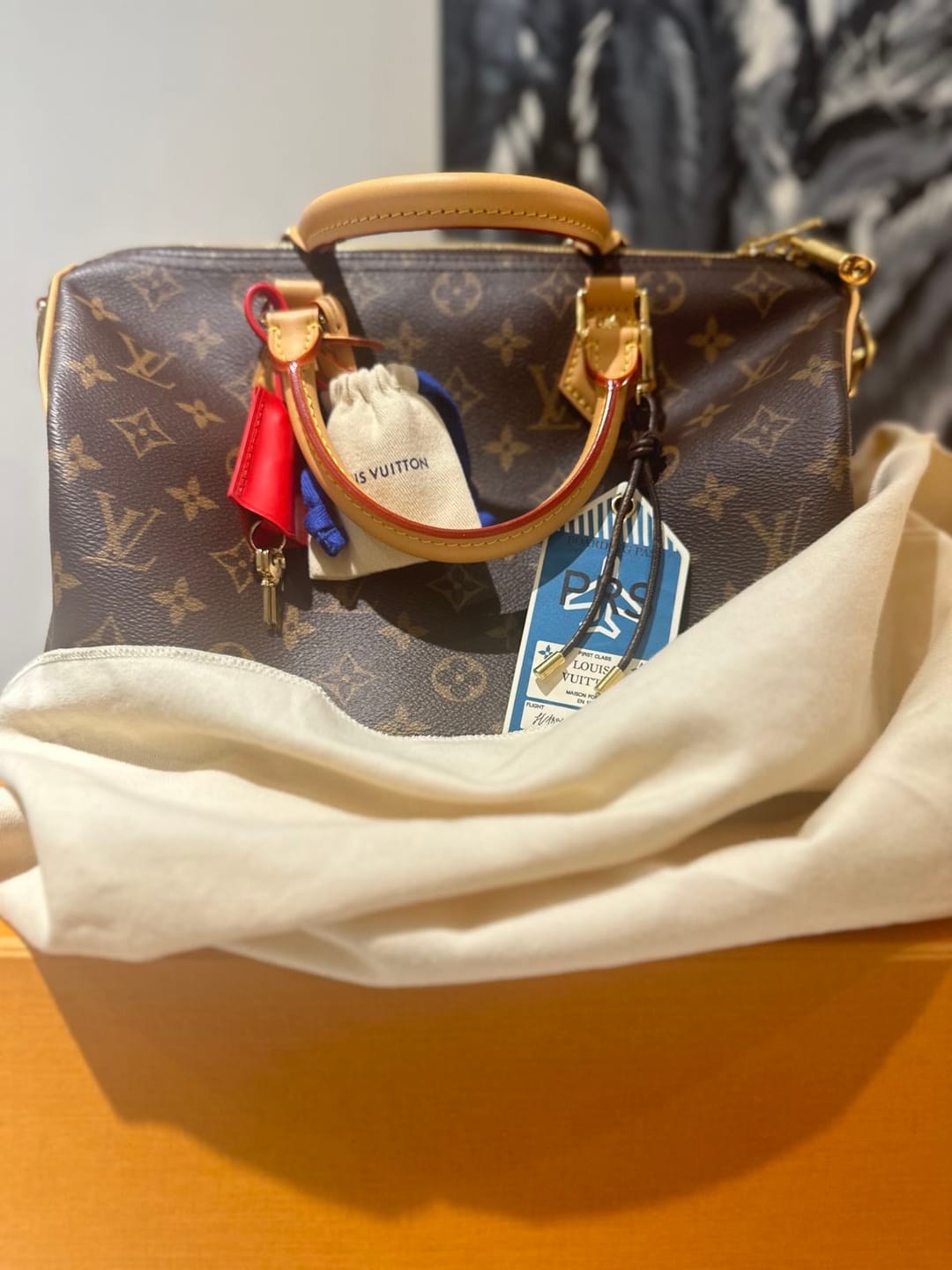 Customer photo review of Speedy Soft 30 Crafty Bag
