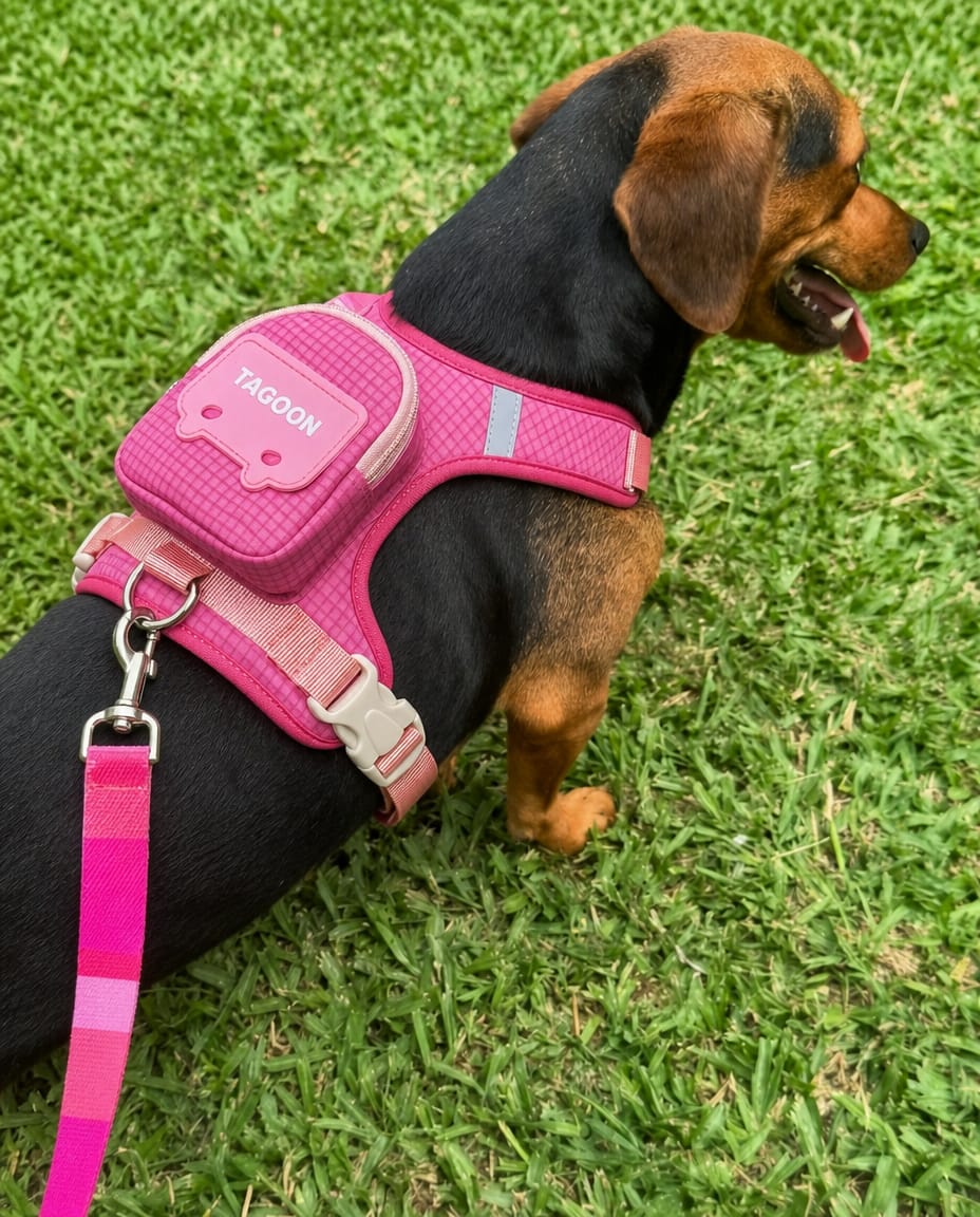 Customer photo review of Arnés-Mochila para perros