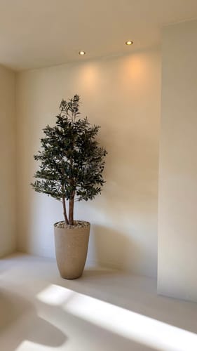 Customer photo review of Kunst Olijfboom 165cm Deluxe