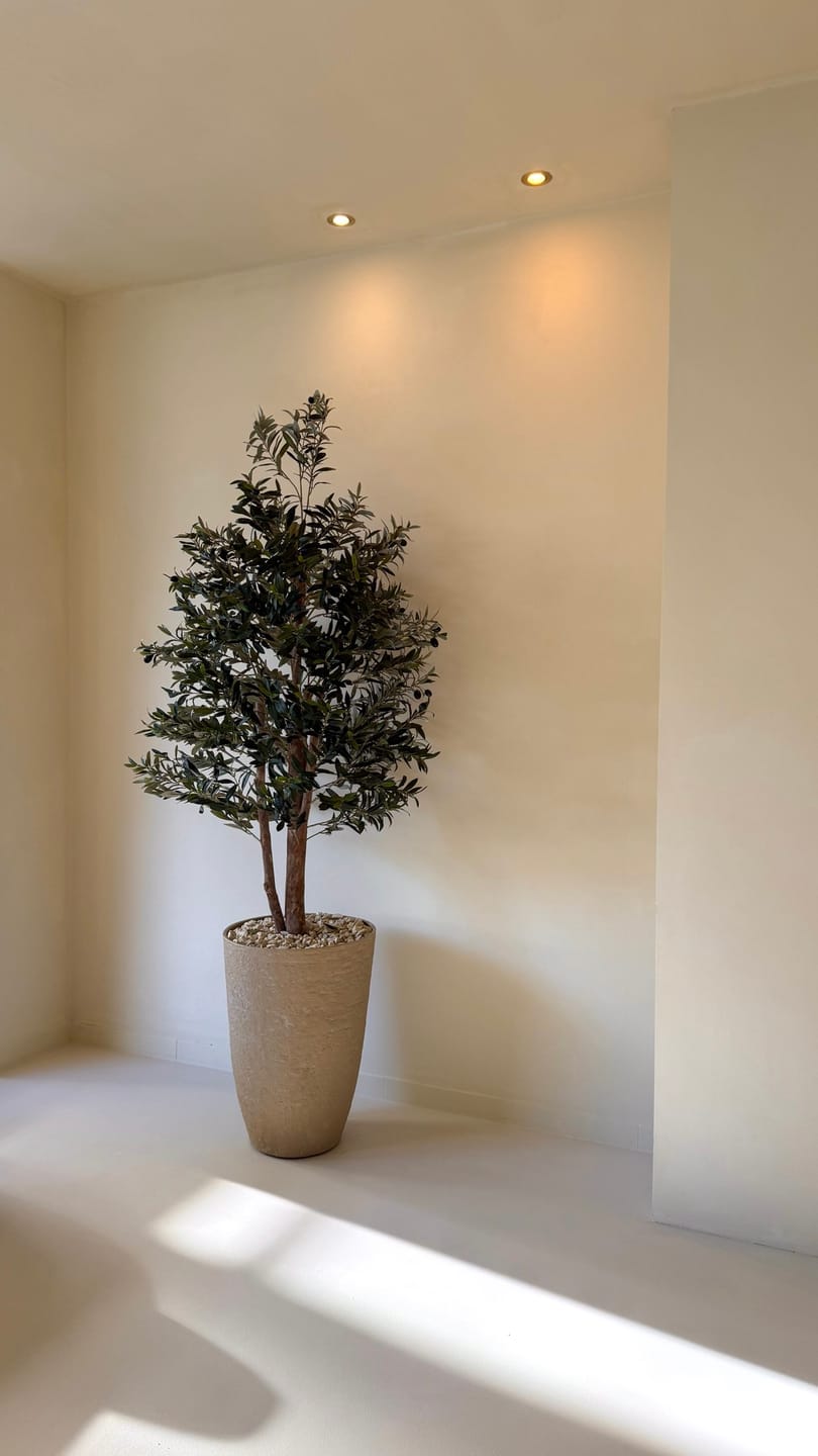 Customer photo review of Kunst Olijfboom 165cm Deluxe
