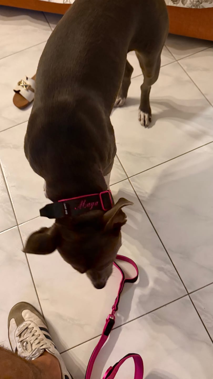 Customer photo review of Collare Crime 3cm