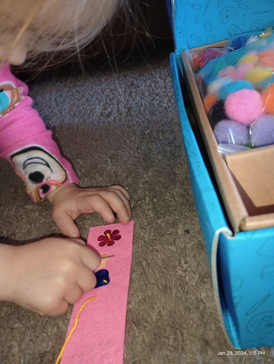 Customer photo review of Deluxe Craft Chest