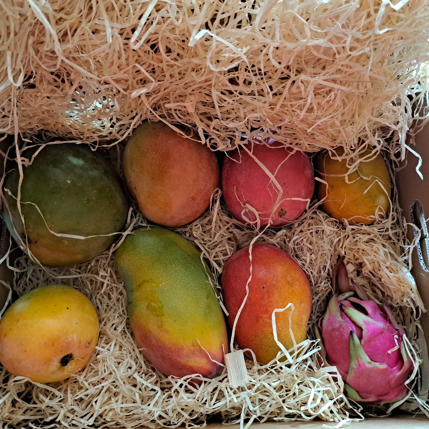 Customer photo review of Mango Mix von Juan 3kg Aktion %