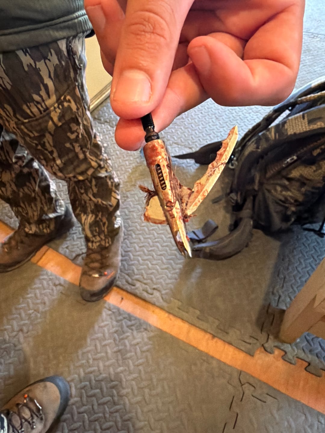 Customer photo review of Cut on Contact Titanium Broadheads (3 Pack)