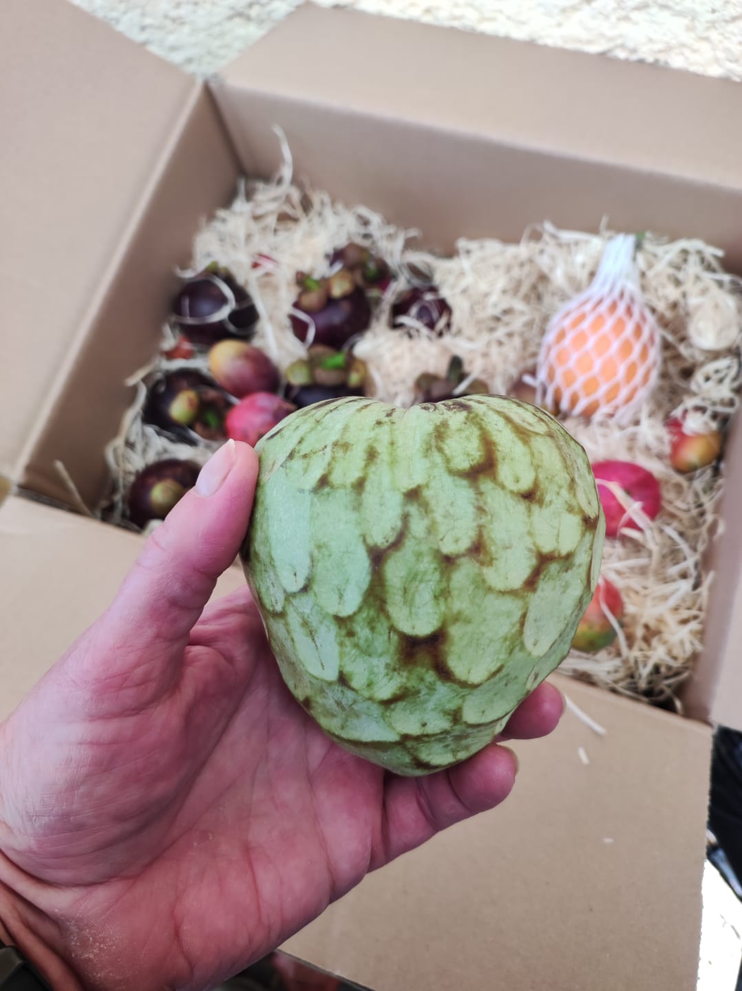 Customer photo review of Cherimoya von Julian