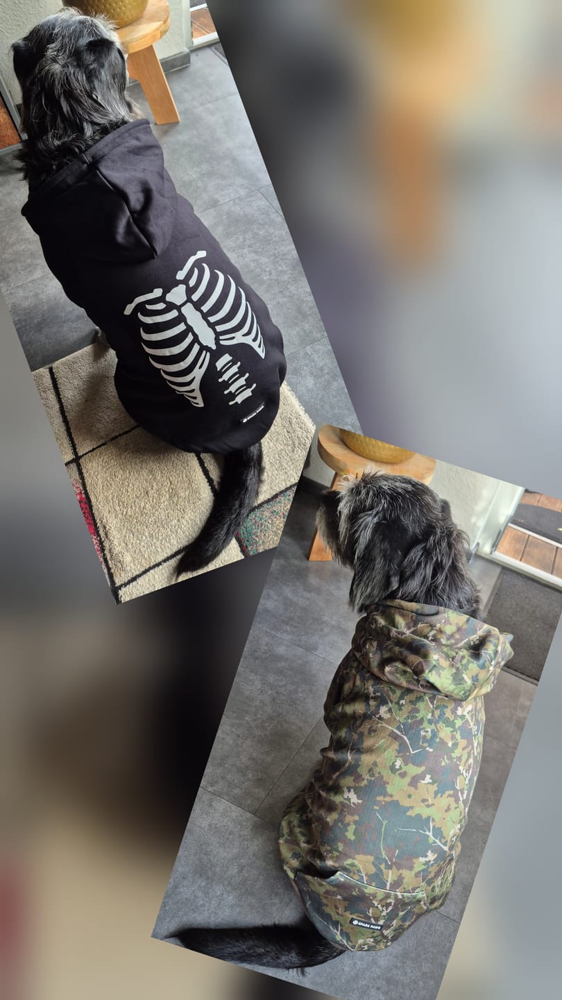 Customer photo review of Concrete Wood Dog Hoodie - Moss