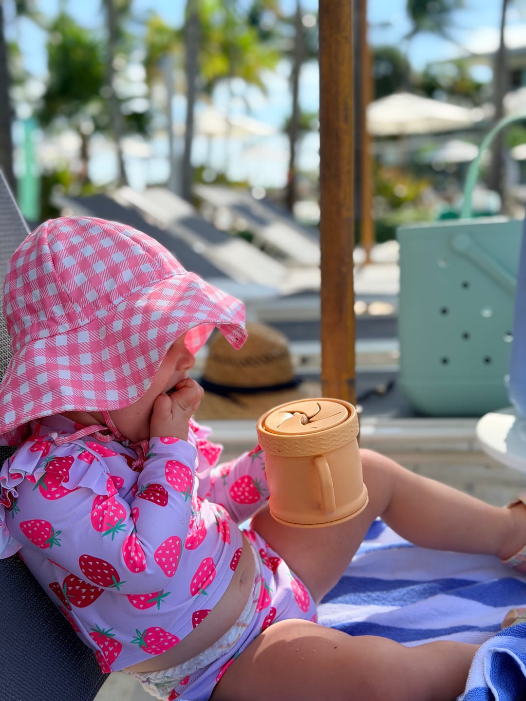 Customer photo review of Coastal Cup: Nontoxic Snack Cup With Lid