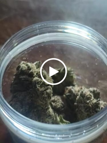 Customer video review of THC-A 36% Flower Granddaddy Purple