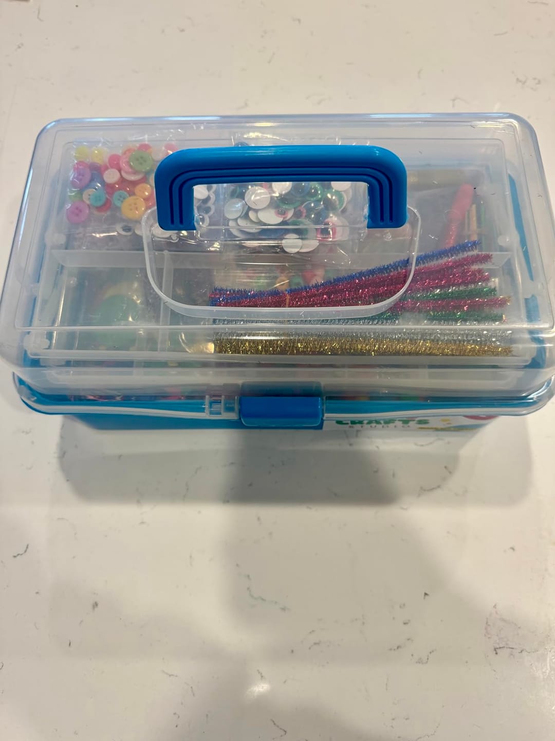 Customer photo review of Deluxe Craft Box