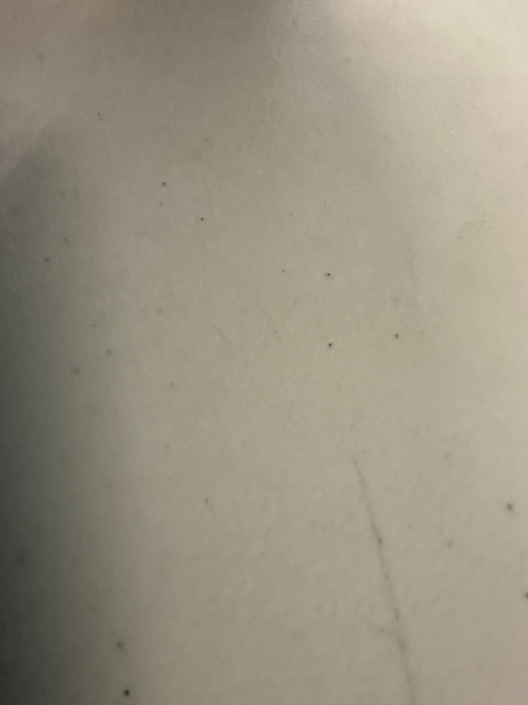 Customer photo review of Blueberry Syrup - 28 Grams - Indica