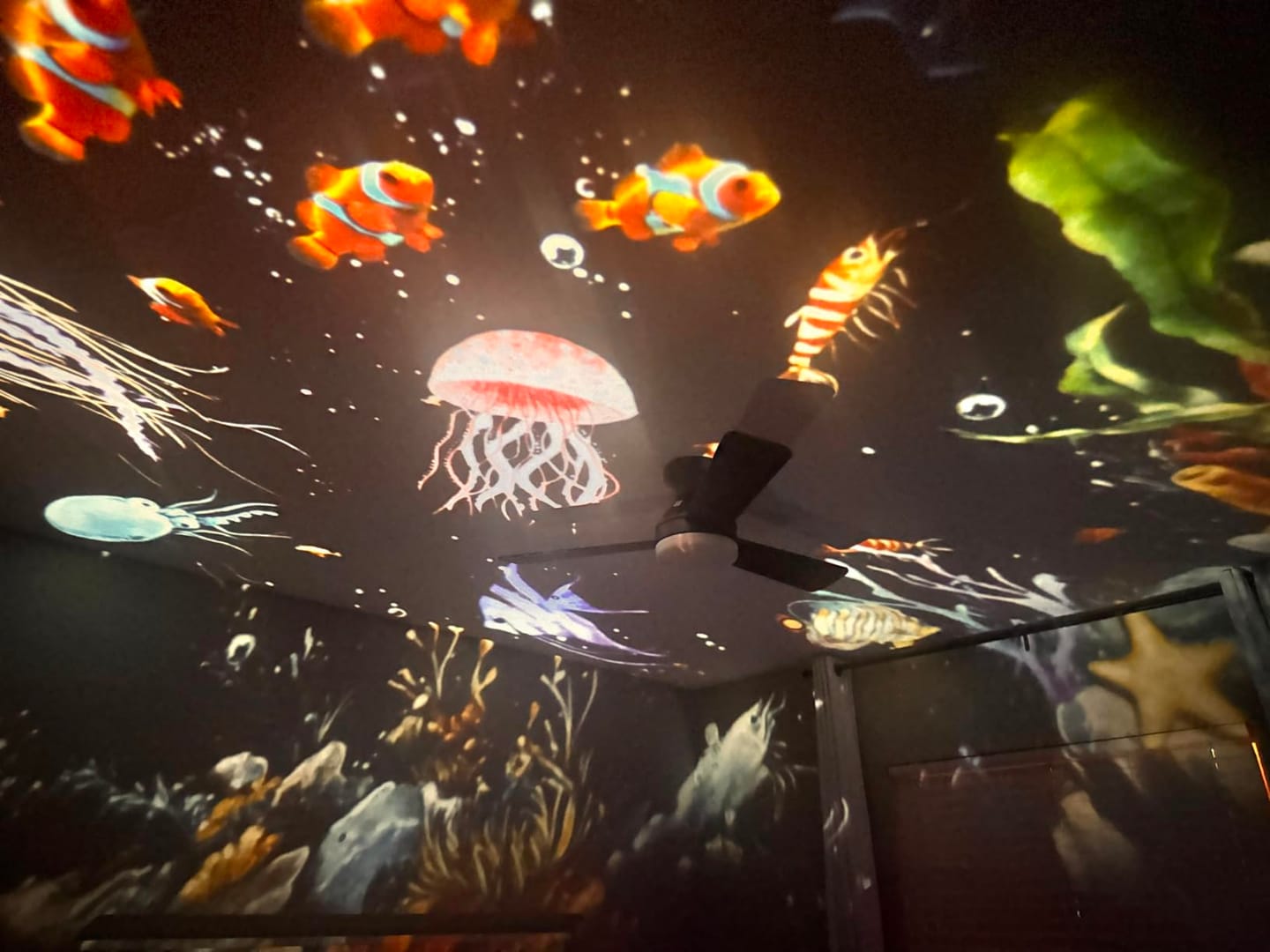 Customer photo review of Lumina Living Projection Night Light
