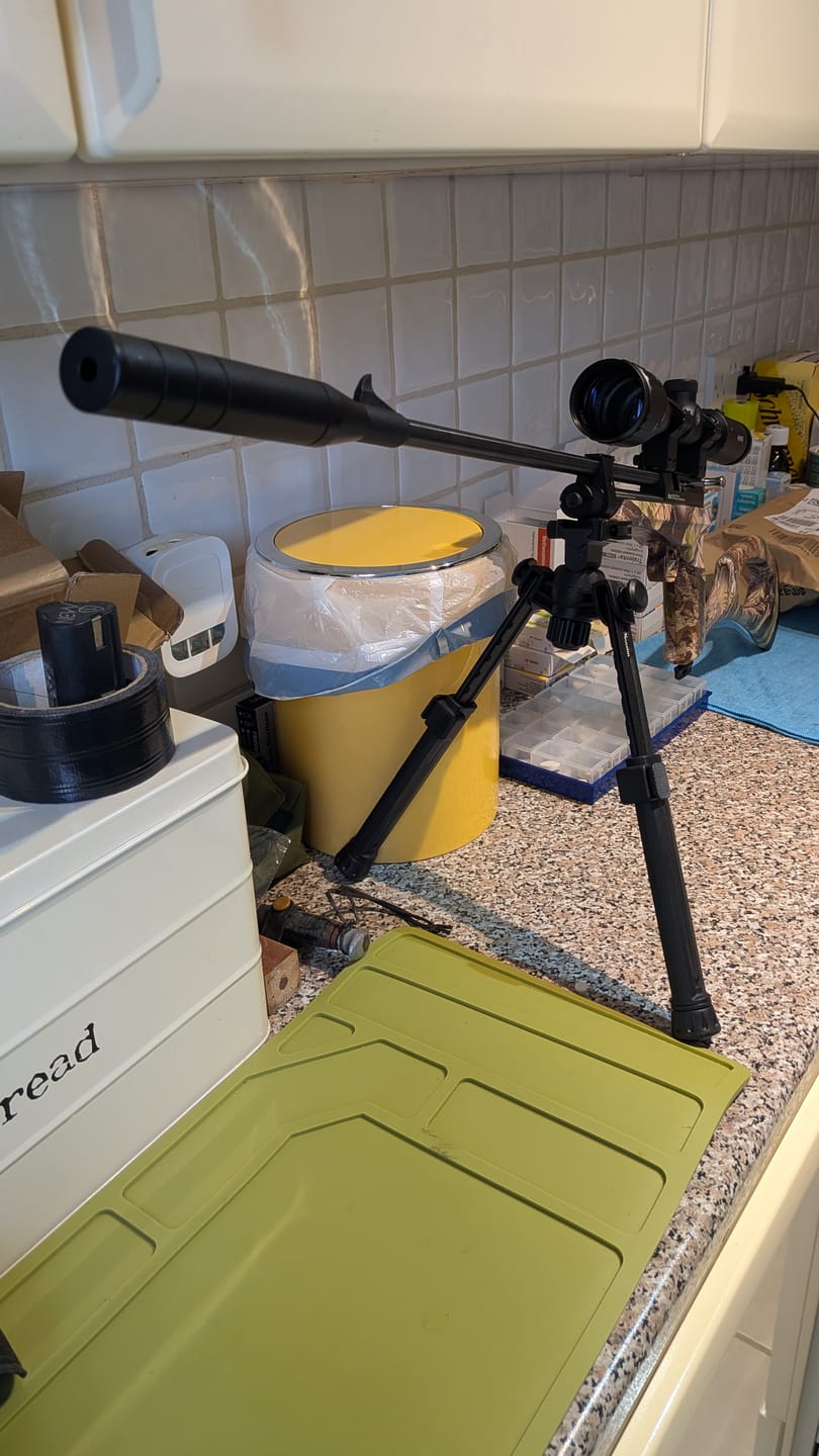 Customer photo review of Victory CP2 CO2 Air Rifle Combo