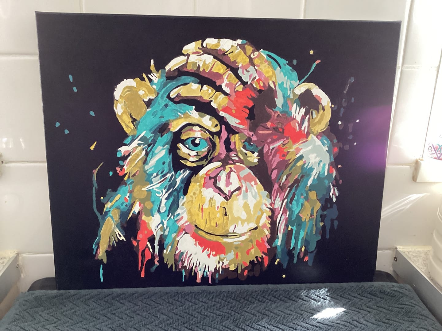 Customer photo review of Babouin Pop Art