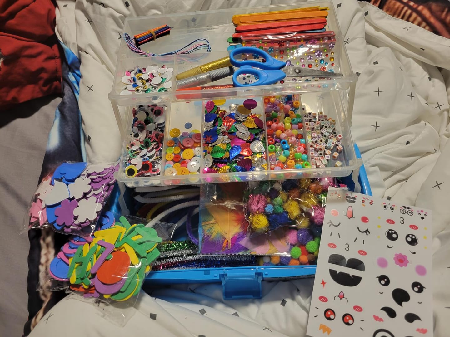 Customer photo review of Deluxe Craft Box