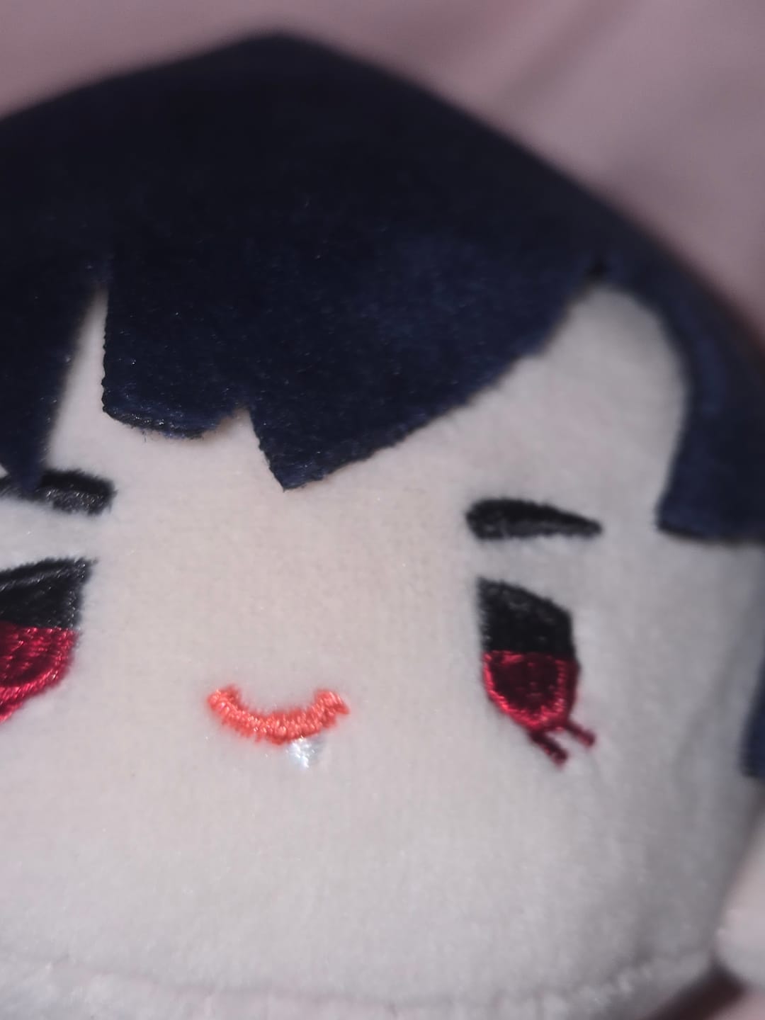 Customer photo review of Alien Stage Theme Series Plush Toy