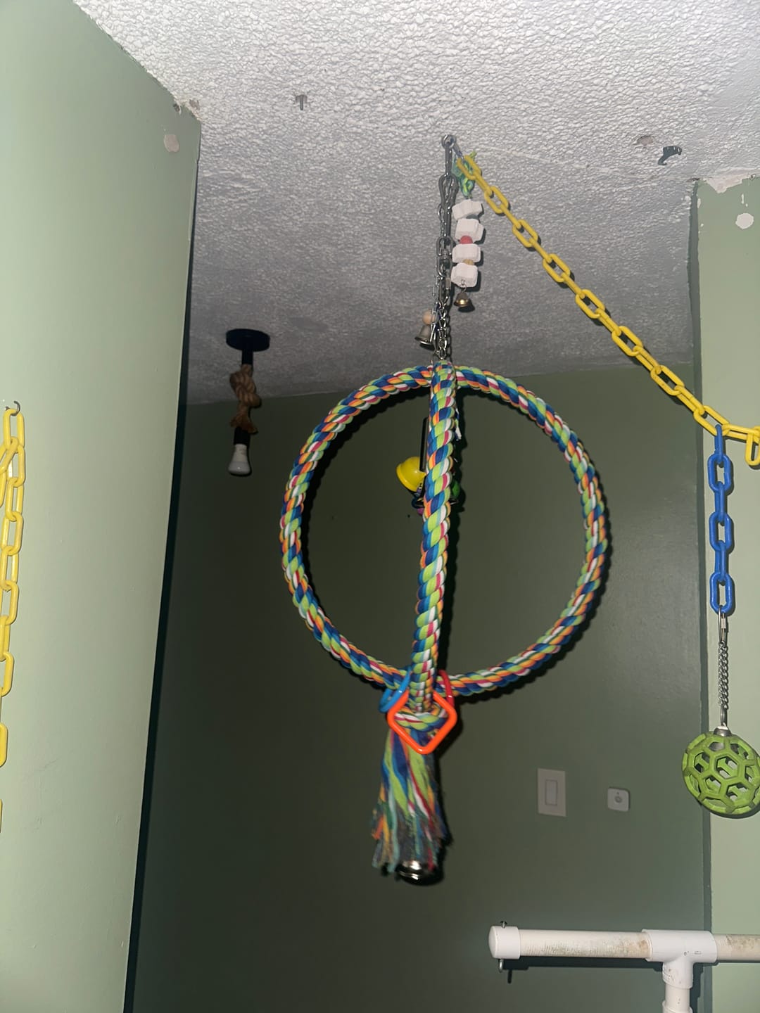 Customer photo review of 1411 Huge Globe Rope Swing