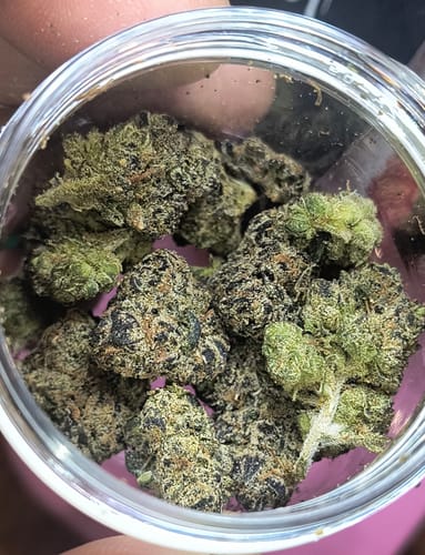 Customer's Granddaddy Purple flower buds, showing deep violet and forest-green tones inside an open jar.