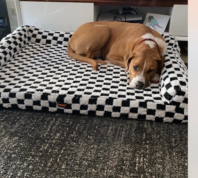 Customer photo review of Orthopedic Dog Bed Pet Mat Calming Checkered Plush Sofa Washable